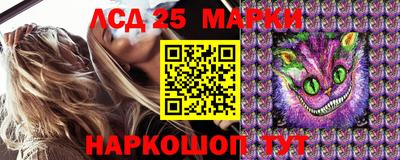 прущие крисы Кимры