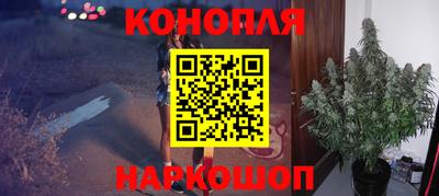 ГАЛЛЮЦИНОГЕННЫЕ ГРИБЫ Кингисепп