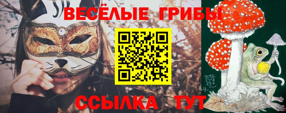 Новоуральск  Псилоцибиновые грибы Cubensis  Псилоцибиновые грибы Magic Shrooms  Вход с VPN 