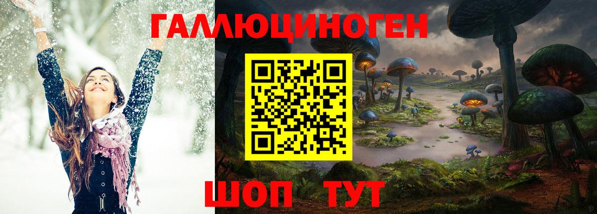 Псилоцибиновые грибы Cubensis Новоуральск